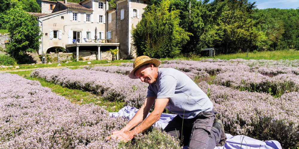 Domaine le C4 - le patrimoine